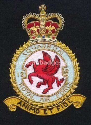 Squadron Blazer Badges