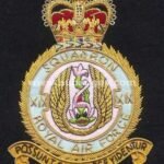 raf-19-sqn.jpg