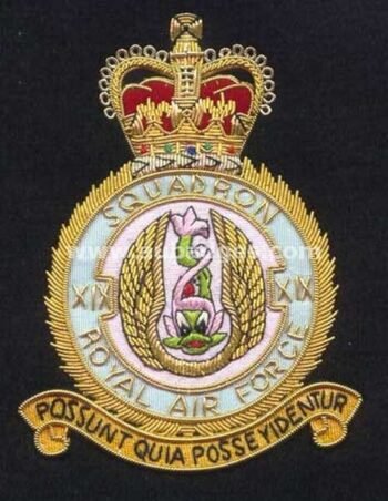 Squadron Blazer Badges