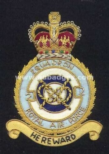 Squadron Blazer Badges