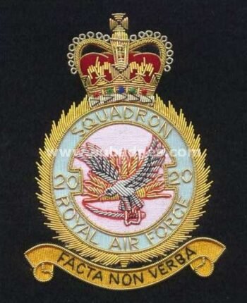 Squadron Blazer Badges
