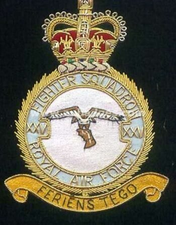 Squadron Blazer Badges