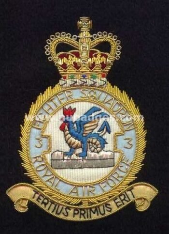 Squadron Blazer Badges