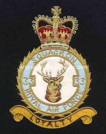 Squadron Blazer Badges