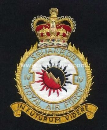 Squadron Blazer Badges