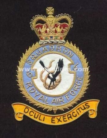Squadron Blazer Badges