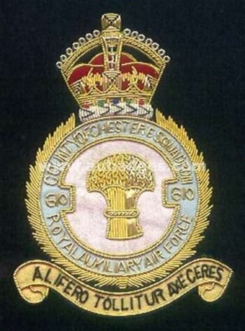 Squadron Blazer Badges