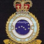 Squadron Blazer Badges