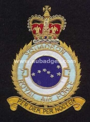 Squadron Blazer Badges