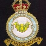 Squadron Blazer Badges