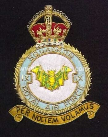 Squadron Blazer Badges