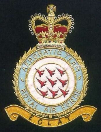 Squadron Blazer Badges