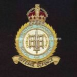 Squadron Blazer Badges