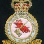 Squadron Blazer Badges