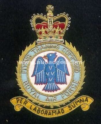 Squadron Blazer Badges