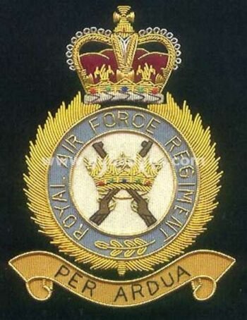 Squadron Blazer Badges