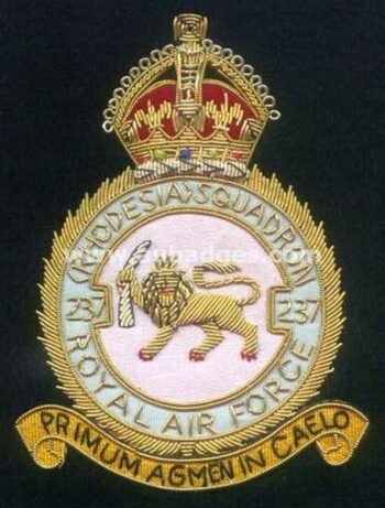 Squadron Blazer Badges