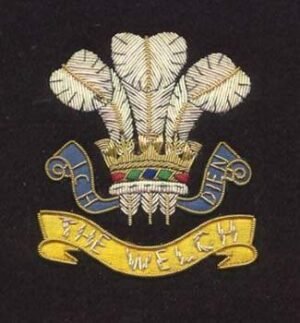 Regalia Blazer Badges