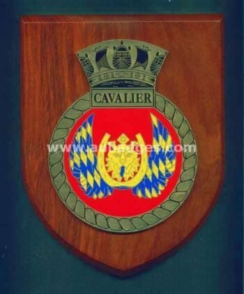 Wooden Plauque - Shields