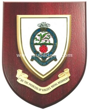 Wooden Plauque - Shields